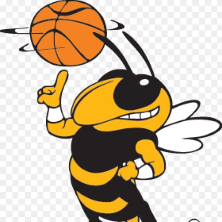 LIL STINGERS BASKETBALL SCHEDULE